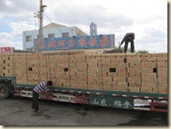 onderweg China Hami-Dunhuang, meloenen (23)