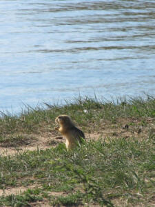 30.-Olkhon-eiland-93.jpeg we genieten allen vh uitzicht!