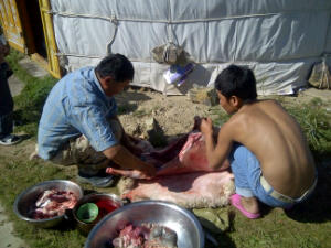 IMG-20110808-00388.jpeg het geslachte schaap! ik ben even uit beeld(foto maken)