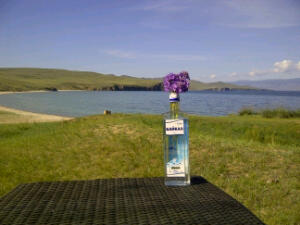 IMG-20110817-00480.jpeg baikalveldboeketje