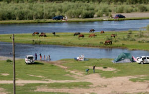 IMG_6461.jpeg 10 kilometer voor Ulaanbaatar