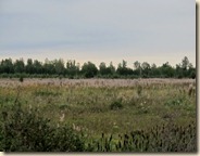 onderweg naar Krasnojarsk (20)