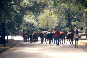 IMG_1632.jpg onderweg