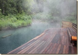 Liard hotsprings 2014-07-08 015 (2)