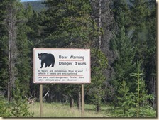 Maligne route Jasper 2014-07-04 017 (1)