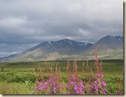 onderweg FairbanksAnchorage 2014-07-17 001 (20)