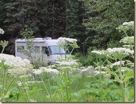 onderweg FairbanksAnchorage 2014-07-17 001 (33)
