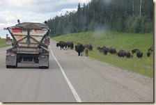 onderweg Liard-Whitehorse 2014-07-08 016 (38)