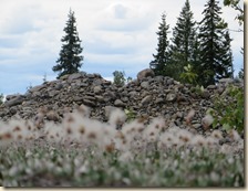 onderweg Mi-Daw. C 2014-07-11 022 (19)