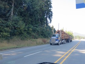 onderweg USA 101 2014-08-26 027 (800x600)