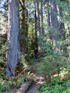 onderweg USA 101 2014-08-26 027 (9) (600x800)