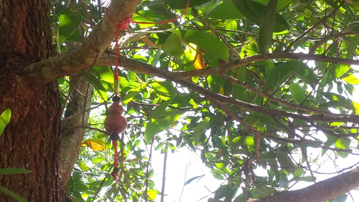 IMG_20150224_142241_edit1