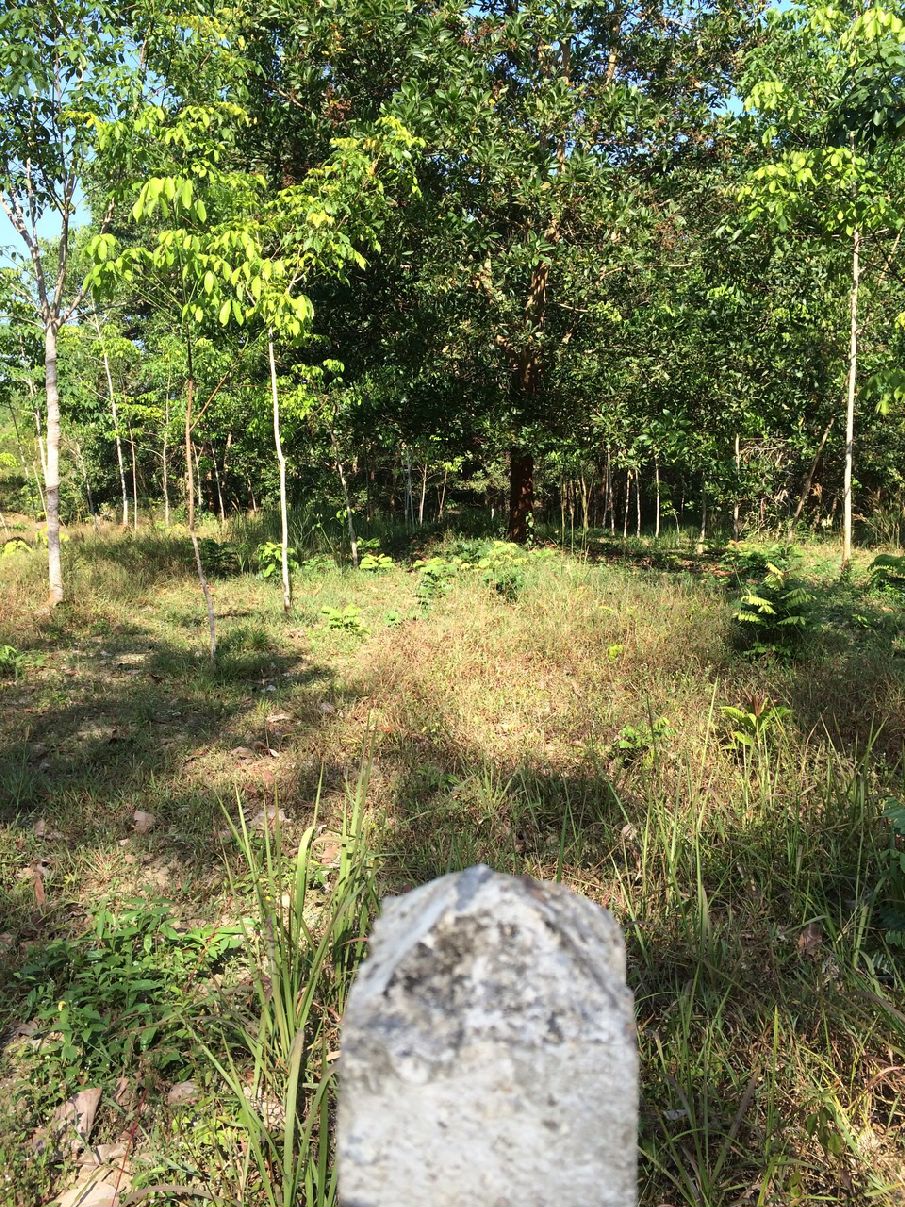 ja, dat betonnen paaltje is het dan!