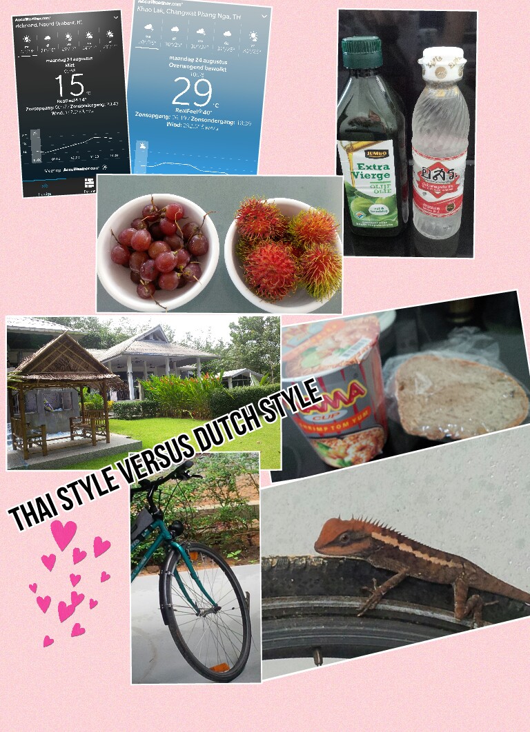 Collage 2015-08-24 11_22_26